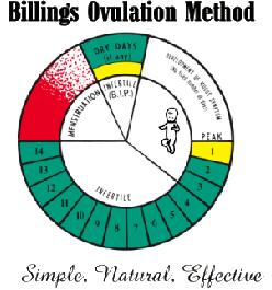 Chart1117086578945c9fe7d0a60c.gif
