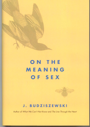 The nature, meaning, and mysteries of sexuality.